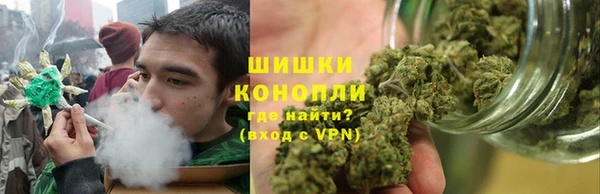 гидра Вяземский