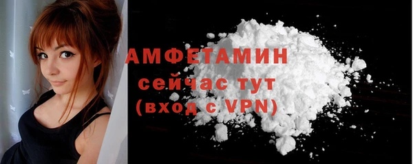 гидра Вяземский