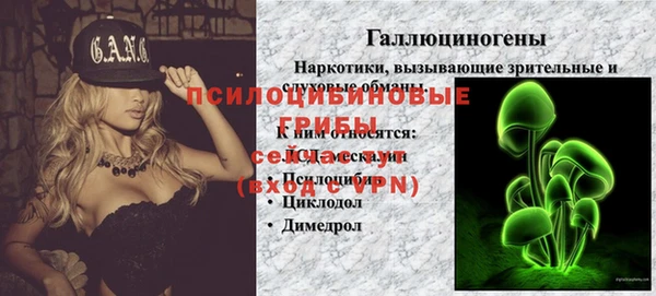 гидра Вяземский