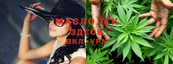 гидра Вяземский