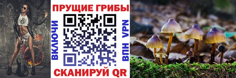 закладка  Челябинск  Псилоцибиновые грибы ЛСД 